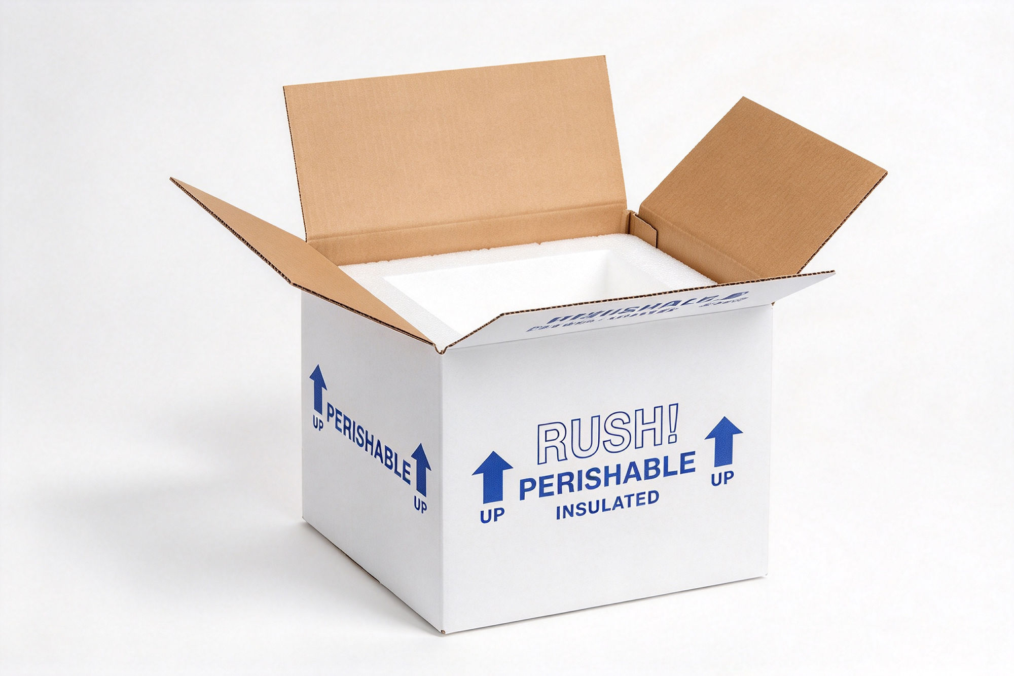 Insulated Perishable Shipping Carton with Foam Liner packaging product